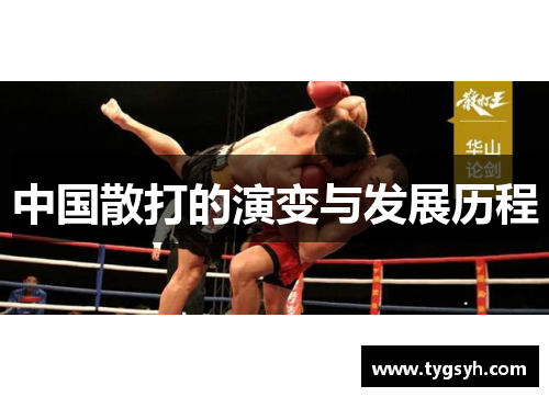中国散打的演变与发展历程
