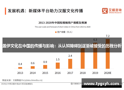 盖伊文化在中国的传播与影响：从认知障碍到逐渐被接受的历程分析